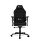 TTRacing Maxx Gaming Chair
