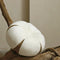 Cotton Cushion