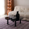 Provence Carpet