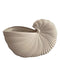 Mitt Conch Pot