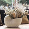 Mitt Conch Pot