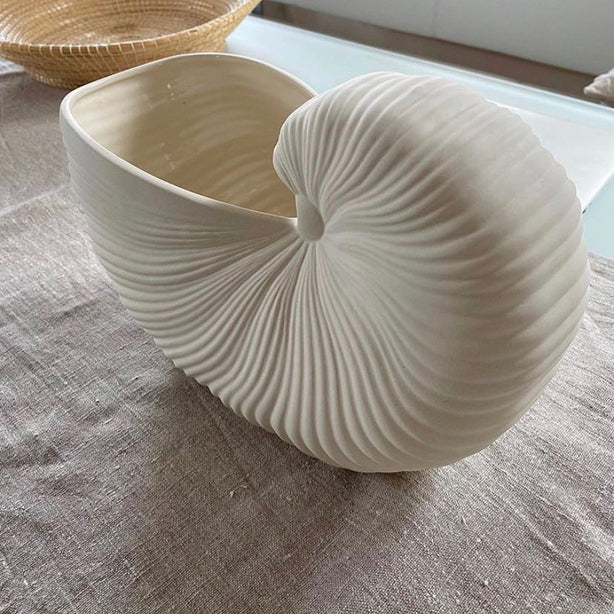 Mitt Conch Pot