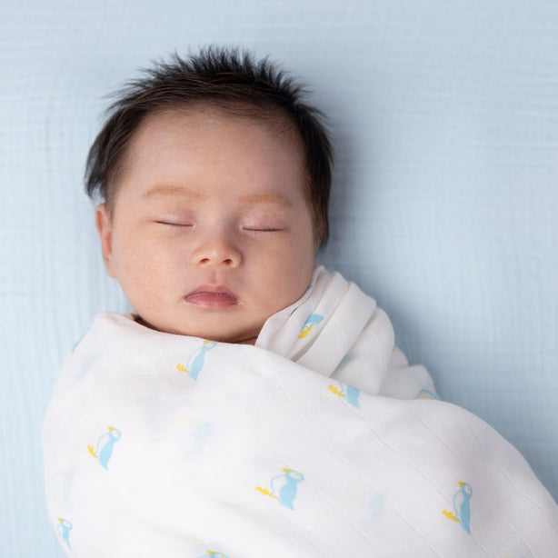 PUFFIN Bamboo Cotton Muslin Swaddle Blankets – 2 pack
