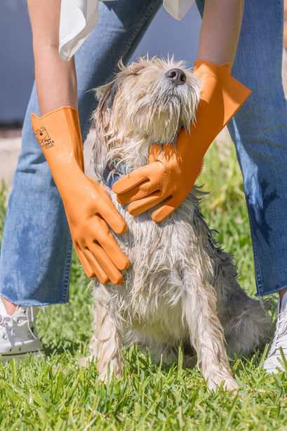 Vigar Pets Club Dog Washing Gloves