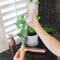 Eco Basics Bottle Brush Refills