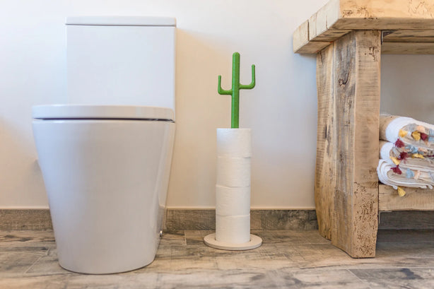 Vigar Cactus Four Toilet Roll Holder