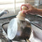 Eco Basics Pot Brush