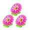 Vigar Flower Power Pink Magnet Clip 3pc