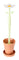 Vigar Florganic Toilet Set