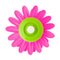 Vigar Flower Power Pink Magnet 3pc