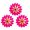 Vigar Flower Power Pink Magnet 3pc