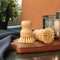 Eco Basics Plastic Free Pot Brush
