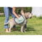 Vigar Pets Club Microfibre Towel