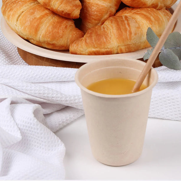 Eco Basics Biodegradable Sugarcane Cup – 10pcs