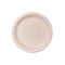 Biodegradable Sugarcane Plate 23cm – 10pcs