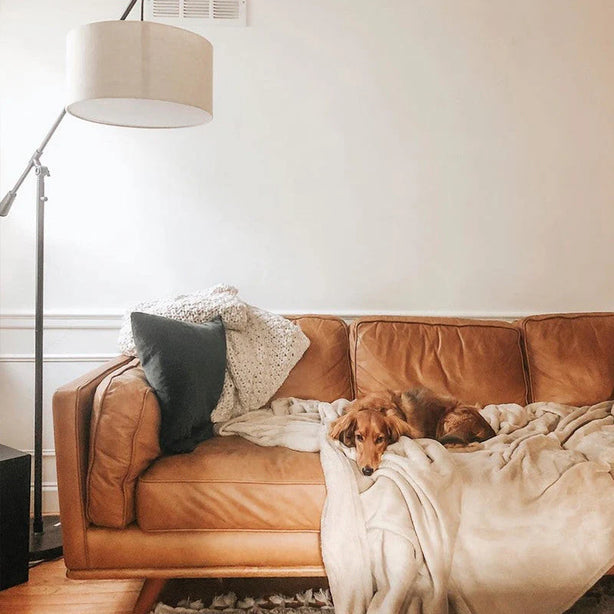 Italian Leather Sofa