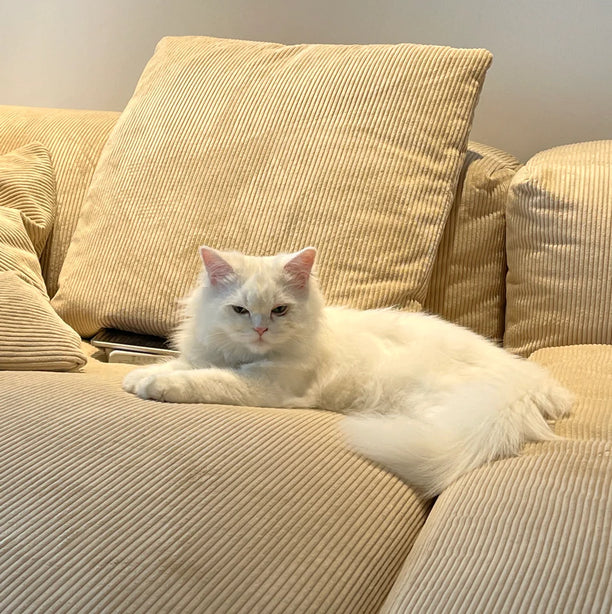 Winsley Chaise Sofa
