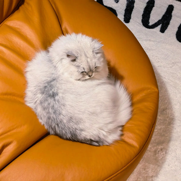 Finn Bean Bag Sofa