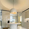 Kenji Ceiling Light