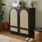 Auston Shoe Cabinet