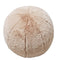 Bunny Tail Cushion
