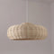 Suzuki Pendant Light
