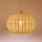 Suzuki Pendant Light
