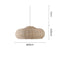 Suzuki Pendant Light