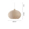 Suzuki Pendant Light