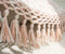 Tassel Wool Rug