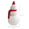 Foldable Snowman