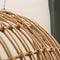 Suzuki Hammock Chair