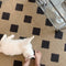 Quai Voltaire Wool Rug