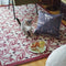 Cannes Wool Rug