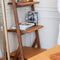 Howard Leather Bookshelf