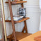 Howard Leather Bookshelf