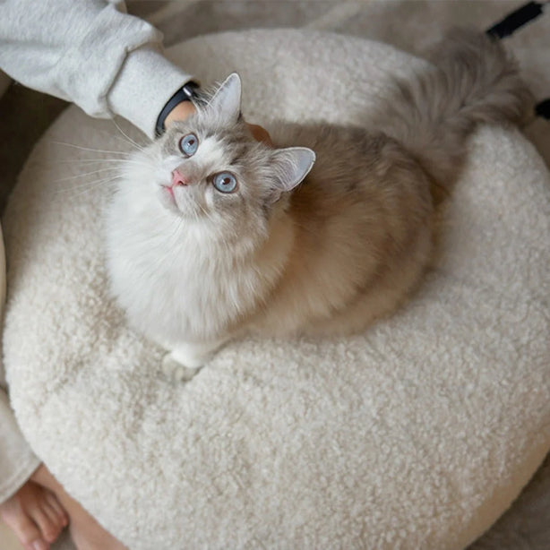 Bouclé Pouffe