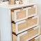 Ivy Rattan Chest