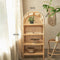 Fujiwara Shelf