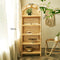 Fujiwara Shelf