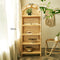 Fujiwara Shelf