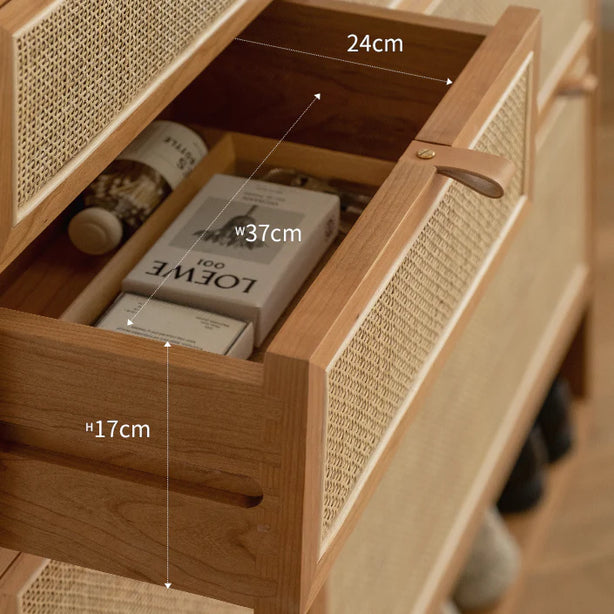 Suzuki Shoe Shelf