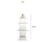Auston Pendant Light