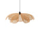 Takibi Ceiling Light