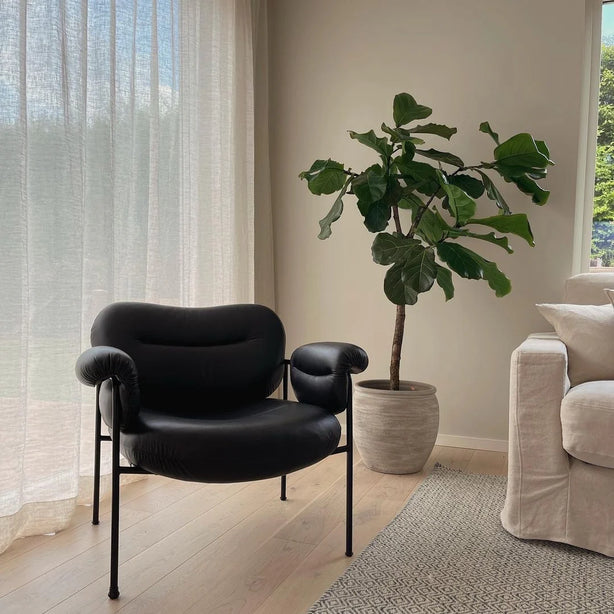 Napa Leather Chair