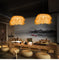 Seagrass Pendant Light