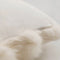 Fur Accent Cushion