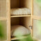 Takibi Wardrobe