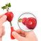 Strawberry Huller