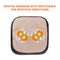 SL-522S Snailax Feet and Back 2-in-1 Massager